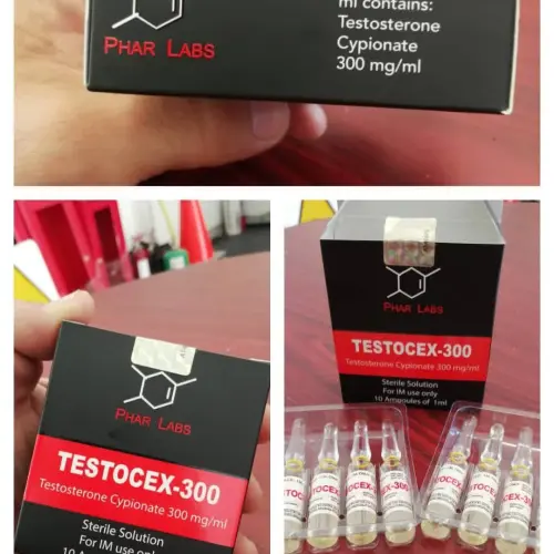 5 ÁMPULAS TESTOSTERONA CIPIONATO 300mg/ml's photo #3