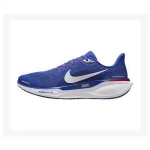NIKE PEGASUS SIZE 42.5 miniatura 1