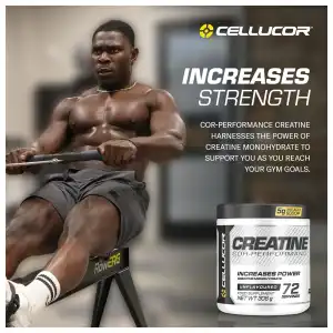 CREATINA CELLUCOR PERFORMANCE miniatura 4