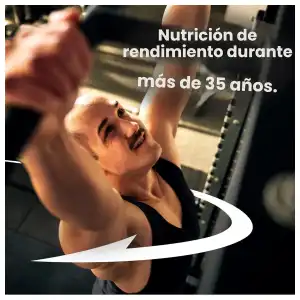 GOLD STANDARD ON PRE WORKOUT miniatura 6