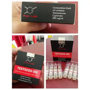 5 ÁMPULAS TESTOSTERONA CIPIONATO 250mg/ml miniatura 4
