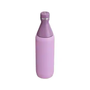 POMO TÉRMICO STANLEY 20Oz miniatura 5